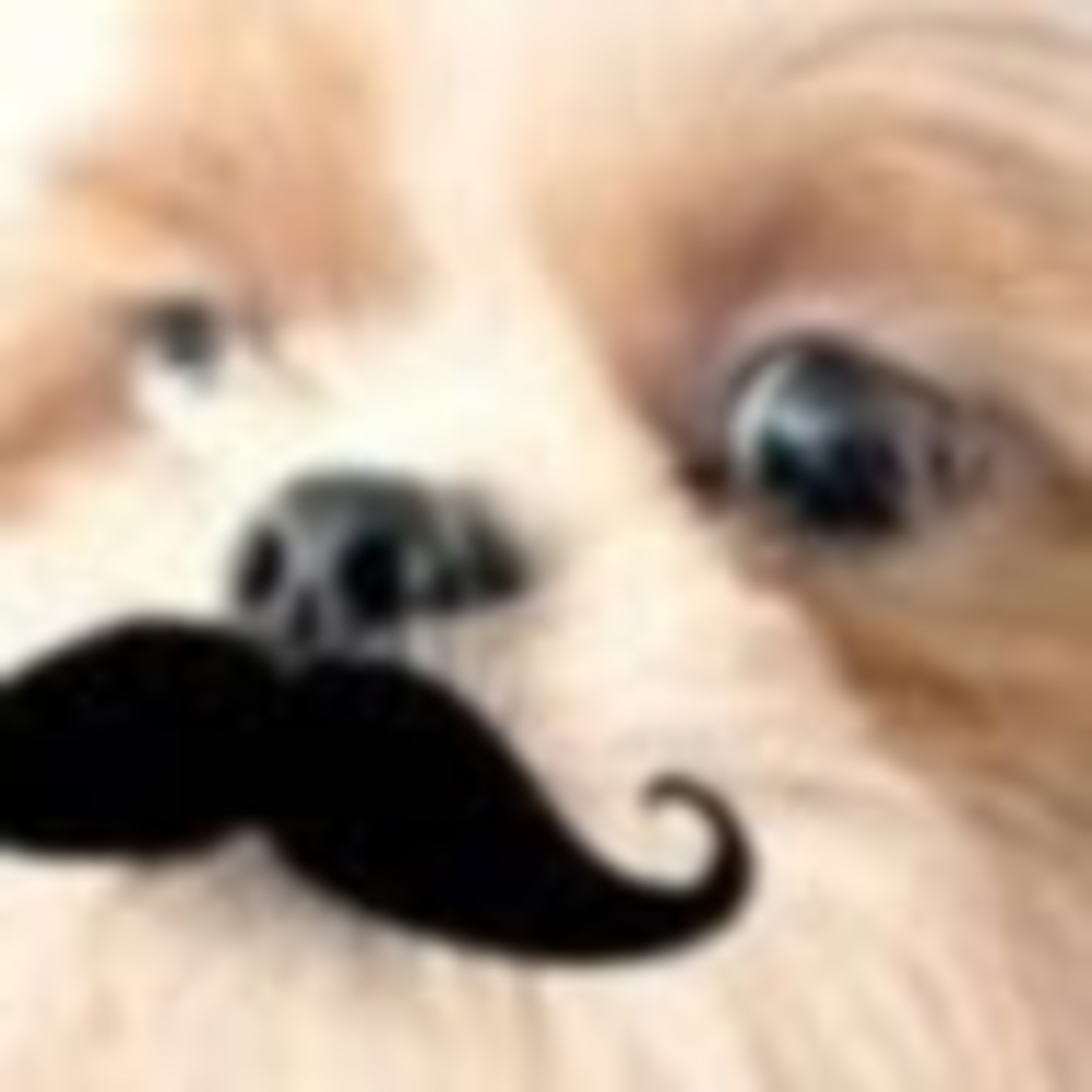 Meet your Posher, Victoria